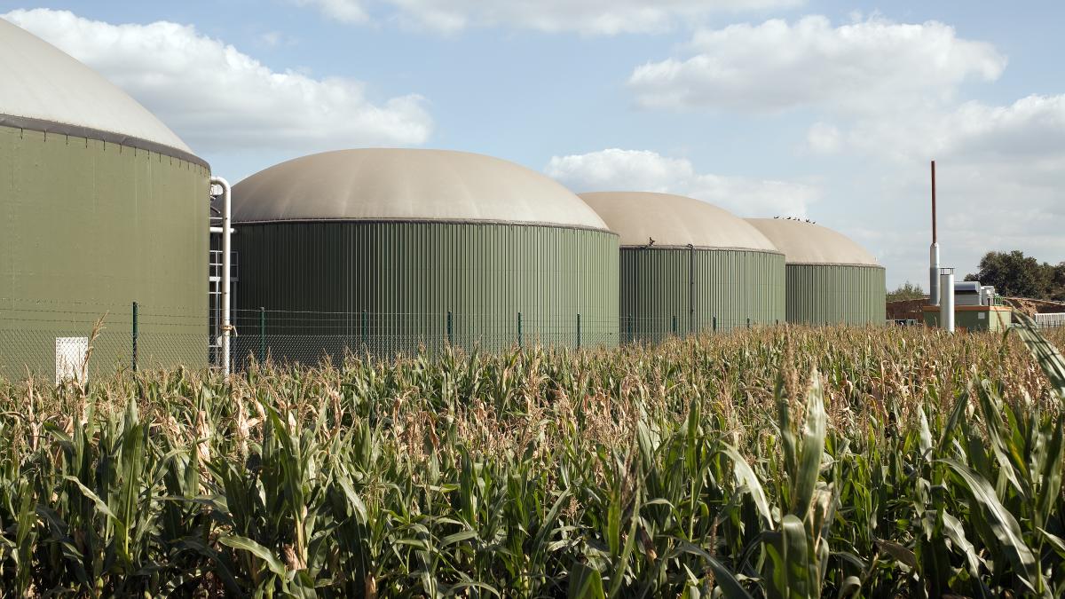 biogaz alsacien