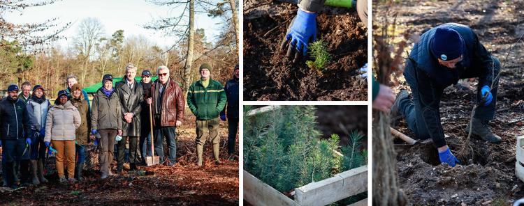 Reforestaction Weitbruch